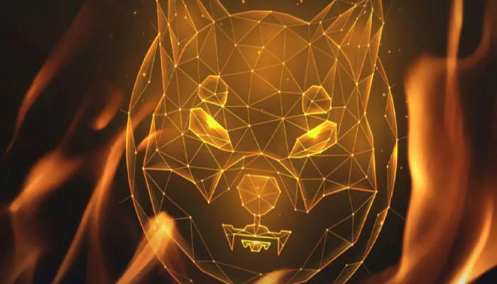 55 FinTech Uzmanından İnanılmaz Shiba Inu Tahmini!