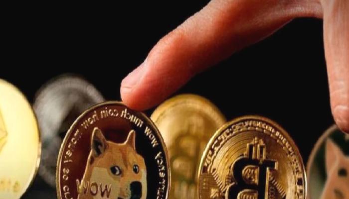 ABD’li Siyasetçi DOGE, BTC Değil! Bu Altcoini Övdü!