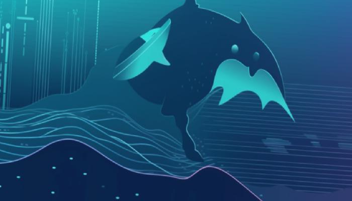 Açıklandı: Balinalar Bu 6 Altcoin’de Yüklü Süreçler Yapıyor!