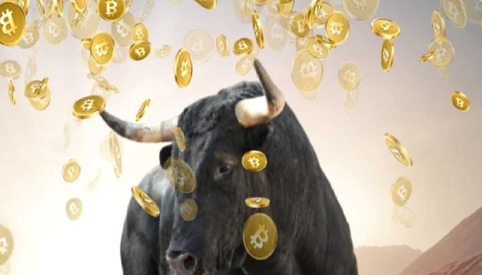 Bitcoin Boğa Koşusu için Dikkat Çeken Detaylar!