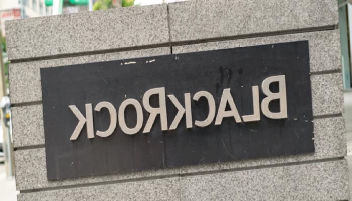 BlackRock ETF Haberi Ne Kadar Tesirli? Santiment Cevapladı…