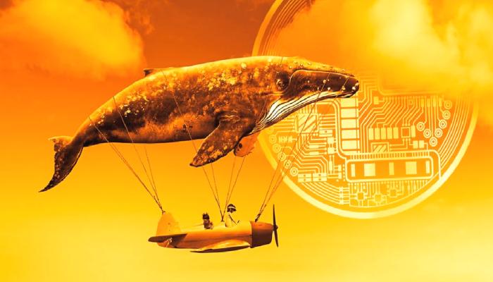 Bu Altcoin CBDC Challenge’ı Başlattı! Balinalar Tabandan Topluyor!