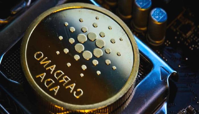 Cardano’da (ADA) Takviye Alanına Test Gelir mi?