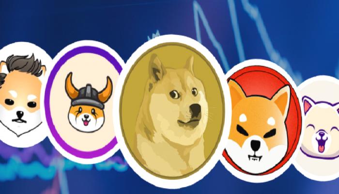 Datalar Bu Meme Coin İçin Ufukta Bir Toparlanma Gösteriyor!