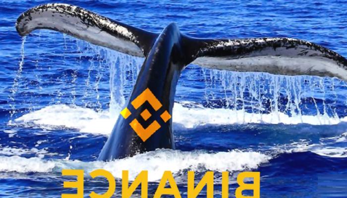 Dev Balina, Binance’e O Altcoin’den Döktü! Coin Düşüyor!
