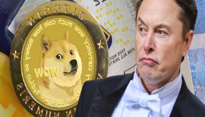 Elon Musk Dogecoin Davasında Sıcak Gelişme!