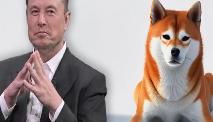 Elon Musk, Dogecoin Hakkındaki Savları Yalanladı!