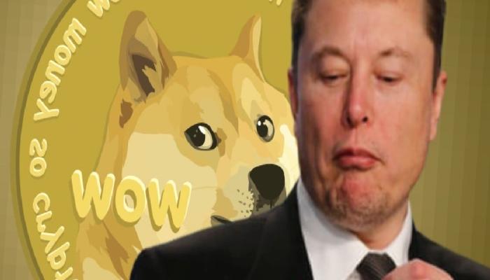 Elon Musk’tan Kaosa Yanıt: Kazanmak için DOGE!