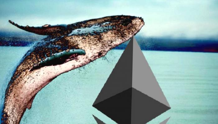 Ethereum Satan Dev Balina, Bu 2 Altcoinden Aldı!