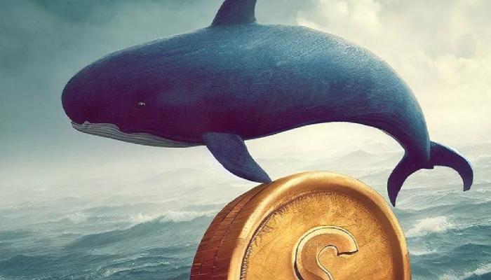 Finans Devi, Bu Altcoin ile Anlaştı! Dev Balinalar Aldı!