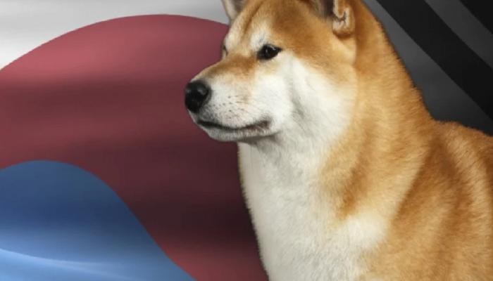 Güney Koreliler SAND, DOGE ve Bu Coinlerin Peşine Düştü!
