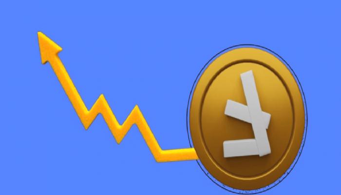 Halvinge 50 Gün Kalan Litecoin Fiyatında Değişik Olay!