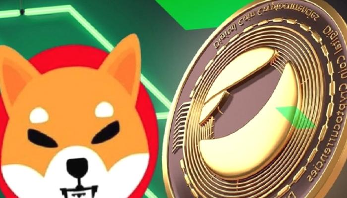 Haziran İçin Taze SHIB, BTC, LUNC ve Altcoin Tahminleri!
