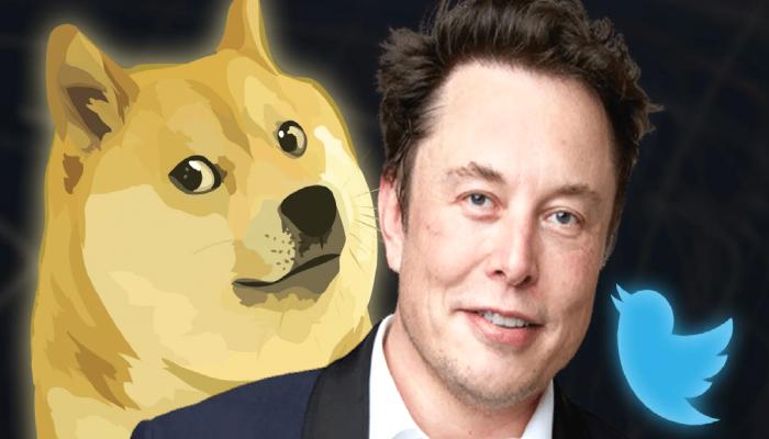 İşte Elon Musk’ın Dogecoin İle Ne Kadar Kazandığı