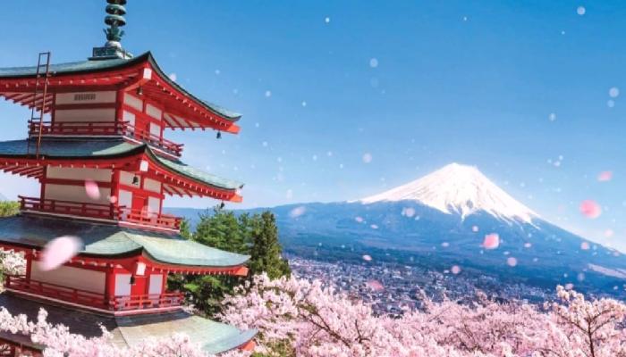Japon Bankaları Stablecoin Çıkarmaya Hazırlanıyor