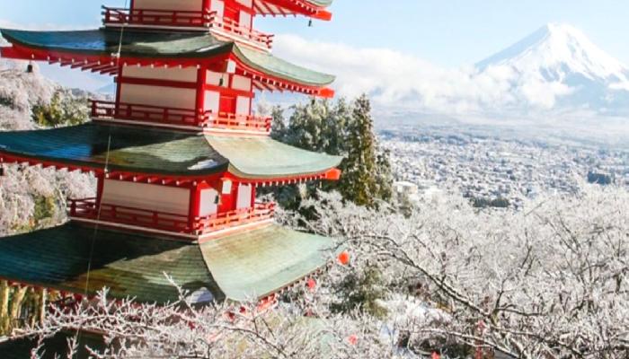Japonya, Kripto Vergilerini Elden Geçirdi