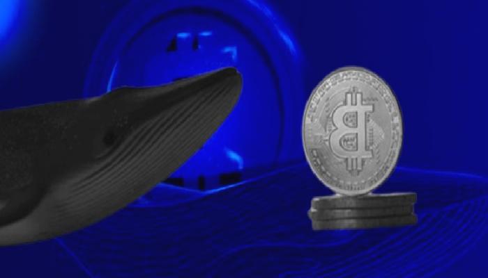 Kripto Balinaları Binance’de Bu Altcoin’leri Alıp, Satıyor!
