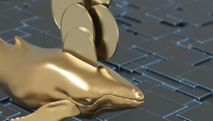 Listeye Dikkat: İşte Balina Konsantrasyonu En Yüksek Altcoinler!