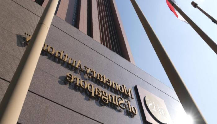 MAS, Dijital Varlık Teknik İnceleme Yayımladı