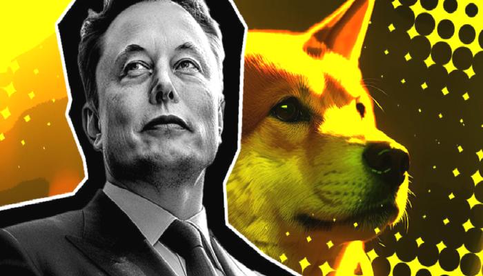 Ortaya Çıktı: Elon Musk-Dogecoin Davasında Büyük Kayıp!