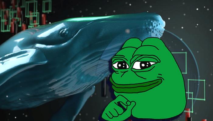 PEPE, SHIB Unutun! Akıllı Para Bu 6 Coinden Topluyor!
