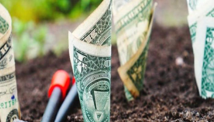 Reserve, 20 Milyon Dolarlık Yatırım Yaptı