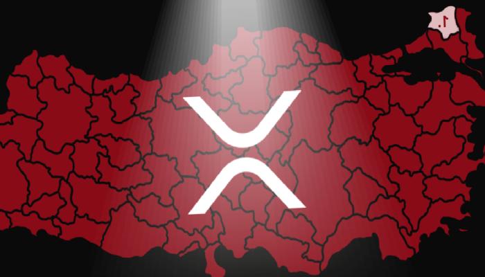 Ripple’a (XRP) Türkiye’de İlgi Yüksek: Kırklareli Önde!
