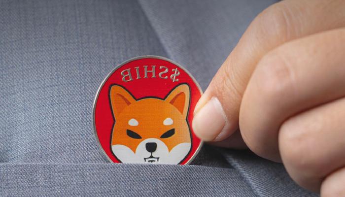 Shiba Inu (SHIB) Çöküşten Nasıl Etkilendi?