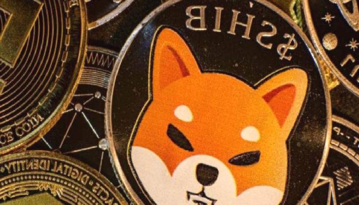 Shiba Inu (SHIB) Yakımları, Fiyatı Üste Taşıdı
