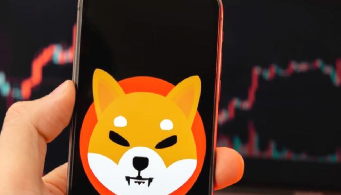 Shiba Inu Yatırımcıları Müjde: Gizemli Eser Açıklandı!