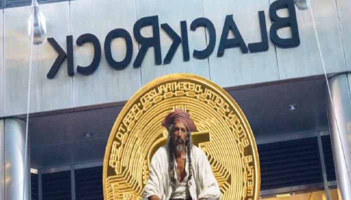 Uzman Görüşü: BlackRock ETF’si Bitcoin İçin Yükseliş Olmayacak!