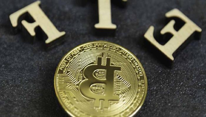 Valkyrie’den Bitcoin ETF Başvurusu