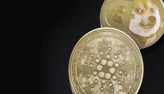 XRP, ADA, DOGE ve Bu 5 Altcoin İçin Al-Sat Seviyeleri!