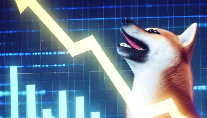 Yeni SHIB Rekoru! Ralli Kapıda Mı?