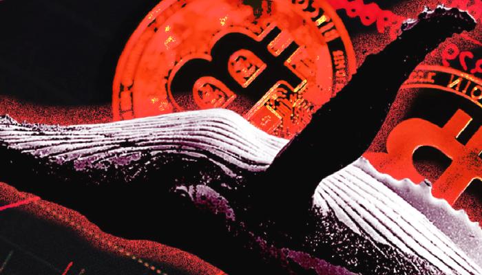 11 Yıldır Uyuyan Bitcoin Balinası Uyandı! Satış mı Var?