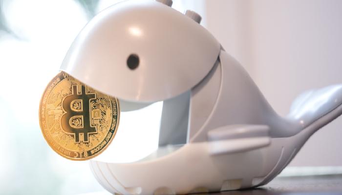 11 Yıldır Uyuyan Bitcoin Balinası Uyandı: Yatırımı Binlerce Kat Büyüdü!