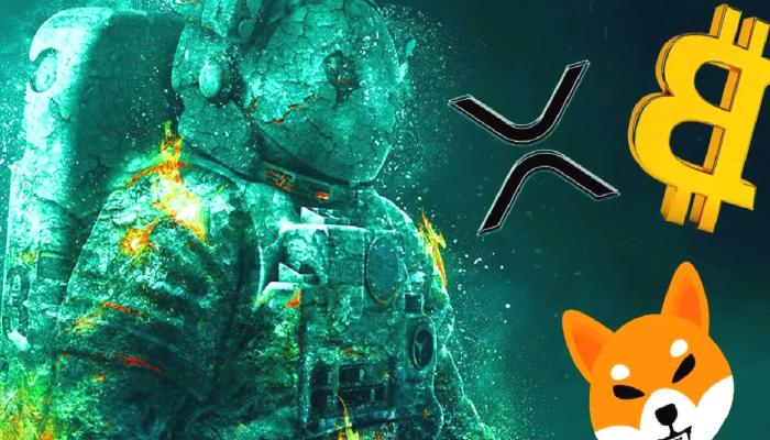 30 Finans Uzmanından XRP, BTC ve SHIB Tahminleri!