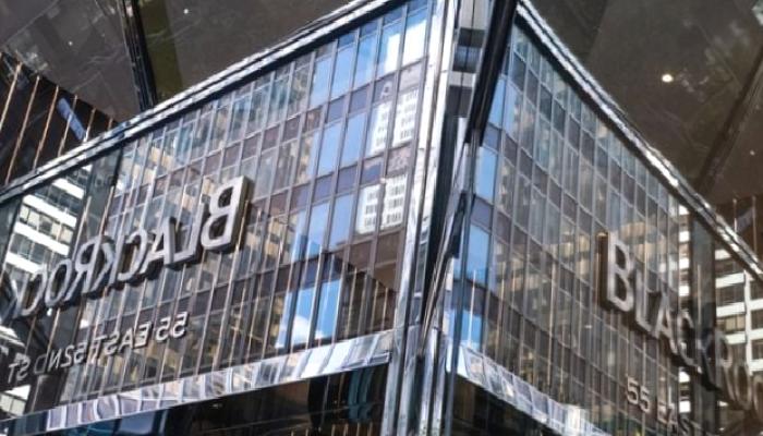 Analistten, BlackRock’ın spot Bitcoin ETF’sine dair yorum