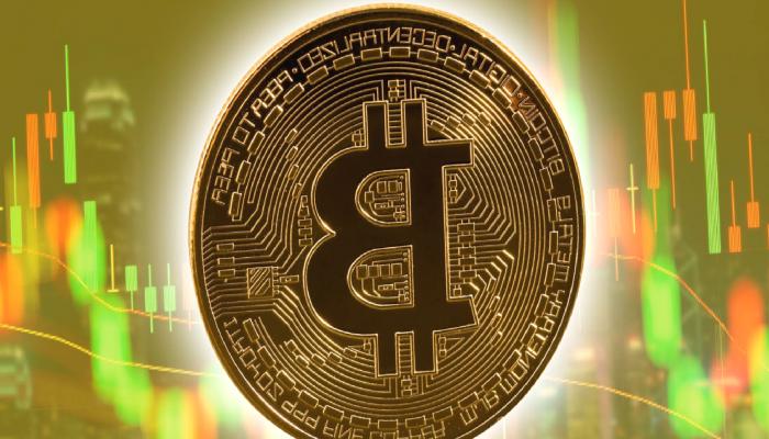 ARK Invest: Kurumsal Yatırımcılar Bu Kripto Paradan Tutuyor!
