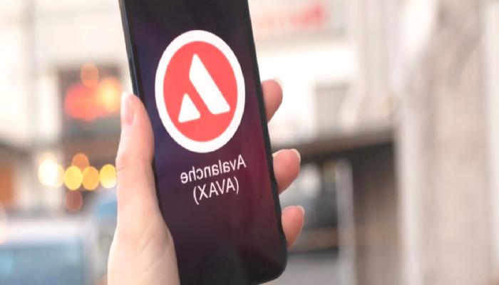 Avalanche Vakfı, 50 milyon dolarlık yatırım yapacak!