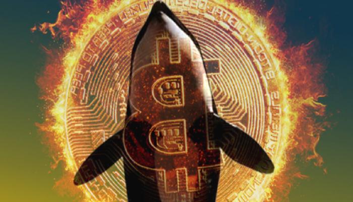 Balina İddia Yaptı! İşte İzlemeniz Gereken 9 Altcoin