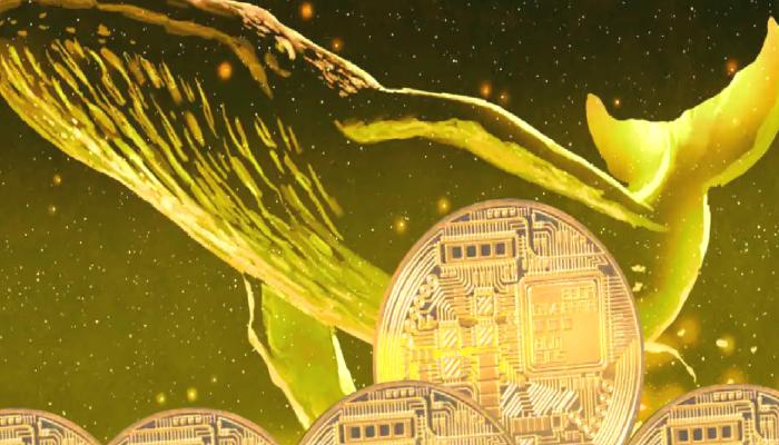 Balina Varsayım Yaptı! Bu 5 Altcoin Mega Ralli Yapabilir!
