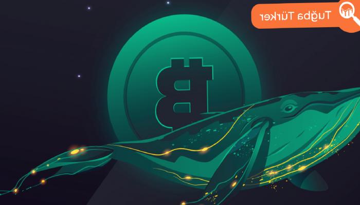 Balinalar Onchain Radarına Takıldı
