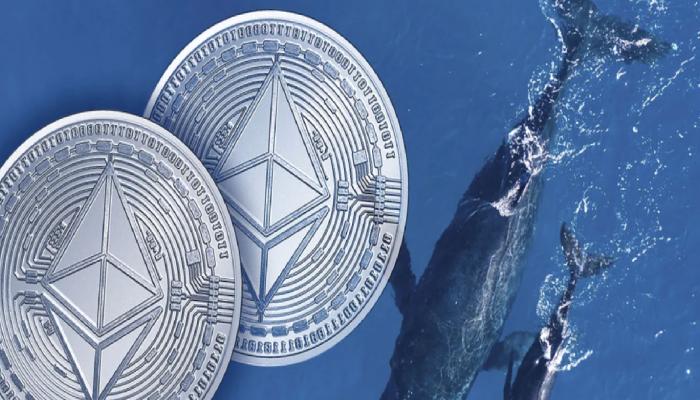 Binance’e Ethereum Boşaltan Balinalar, Bu Coinleri Topluyor!
