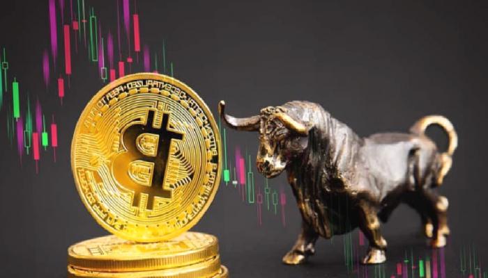 Bitcoin Boğası Elindekileri Satıp Bunları Alıyor!