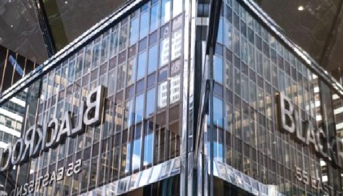 BlackRock CEO’sundan kripto para yorumu