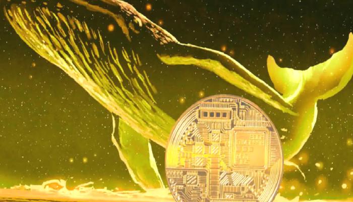 Devasa Yükseliş Beklentisi! Balinalar Bu 2 Altcoin’e Koşuyor!