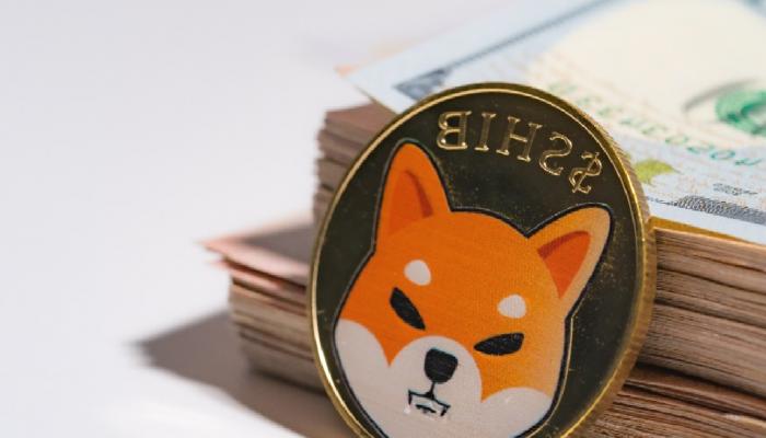 Dogecoin (DOGE) artışıyla Shiba Inu (SHIB) canlandı!