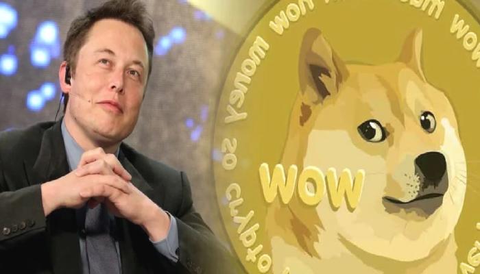 Dogecoin giderek güçleniyor: Elon Musk ve X etkisi!