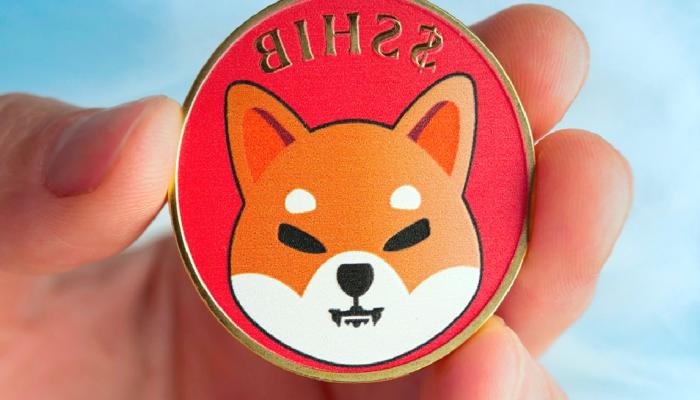 Dogecoin yükselişi, Shiba Inu’yu (SHIB) gündeme getirdi!